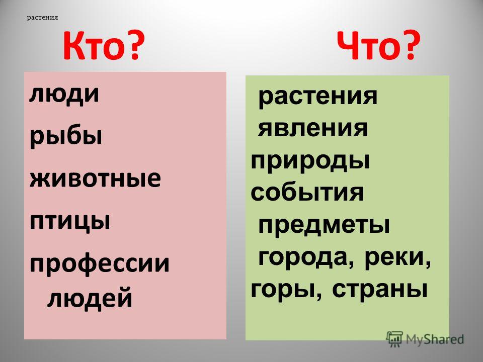 На какой вопрос отвечает животные. Слова отвечающие на вопрос кто. Слова отвечающие намврпрос кто. Слова которые отвечают на вопрос кто. Слова отвечающие на вопрос что.