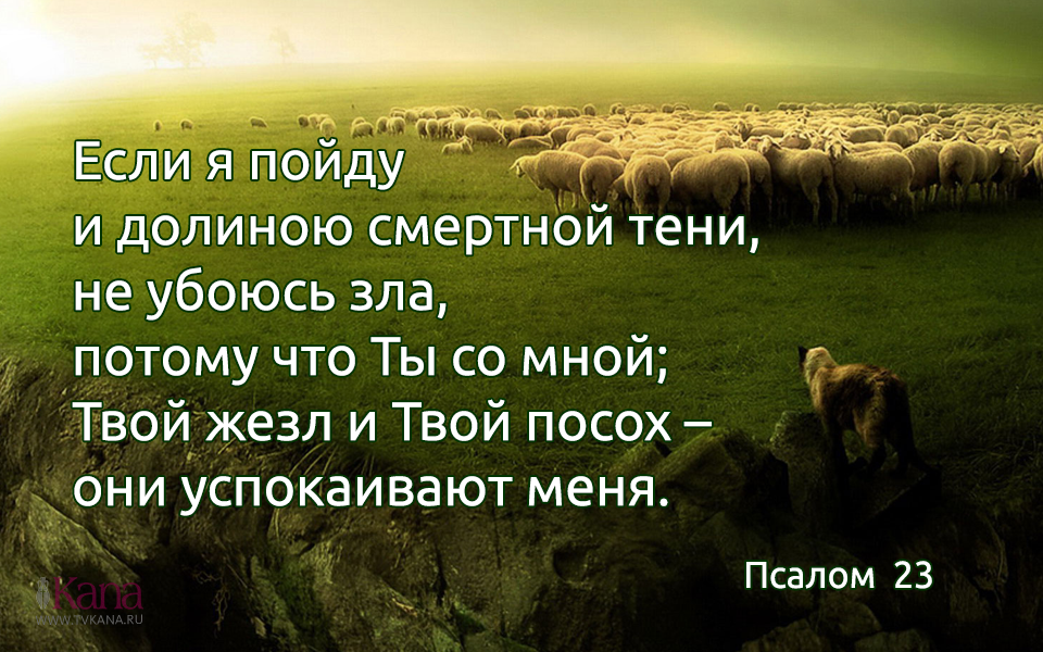 Ты со мной не потому что текст. Псалом 22 картинки. Если я пойду и долиною смертной тени. Долиной смертной тени. И пойду я Долиной смертной.