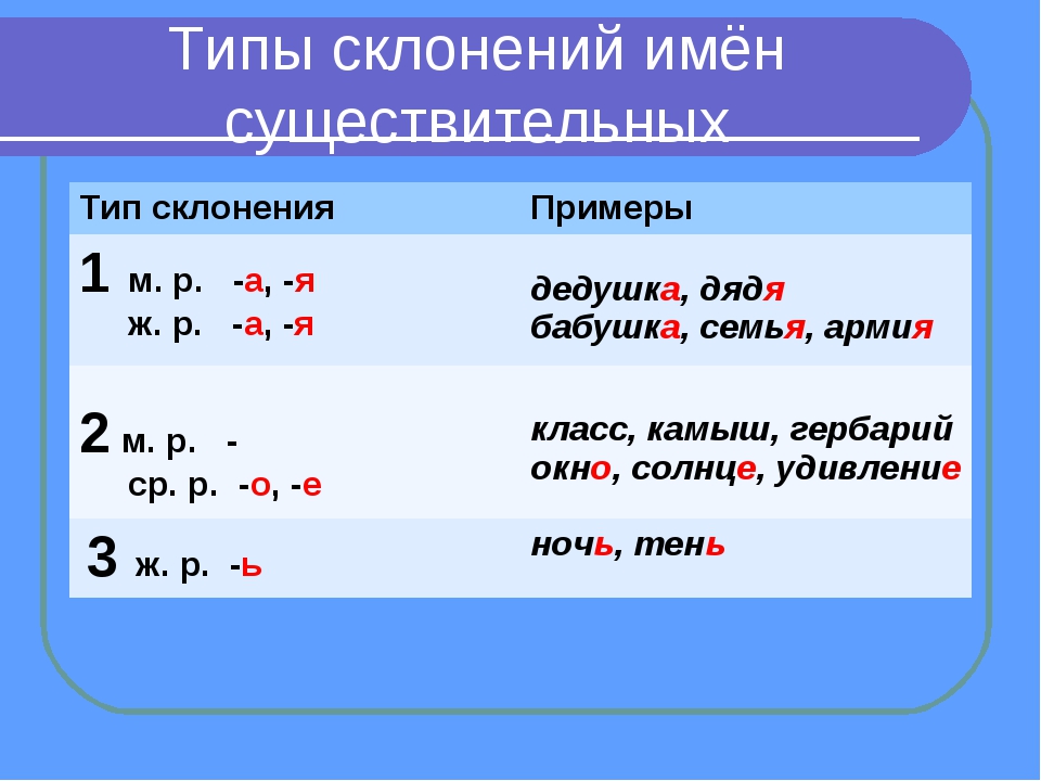 Презентация три склонения имен существительных 5 класс ладыженская