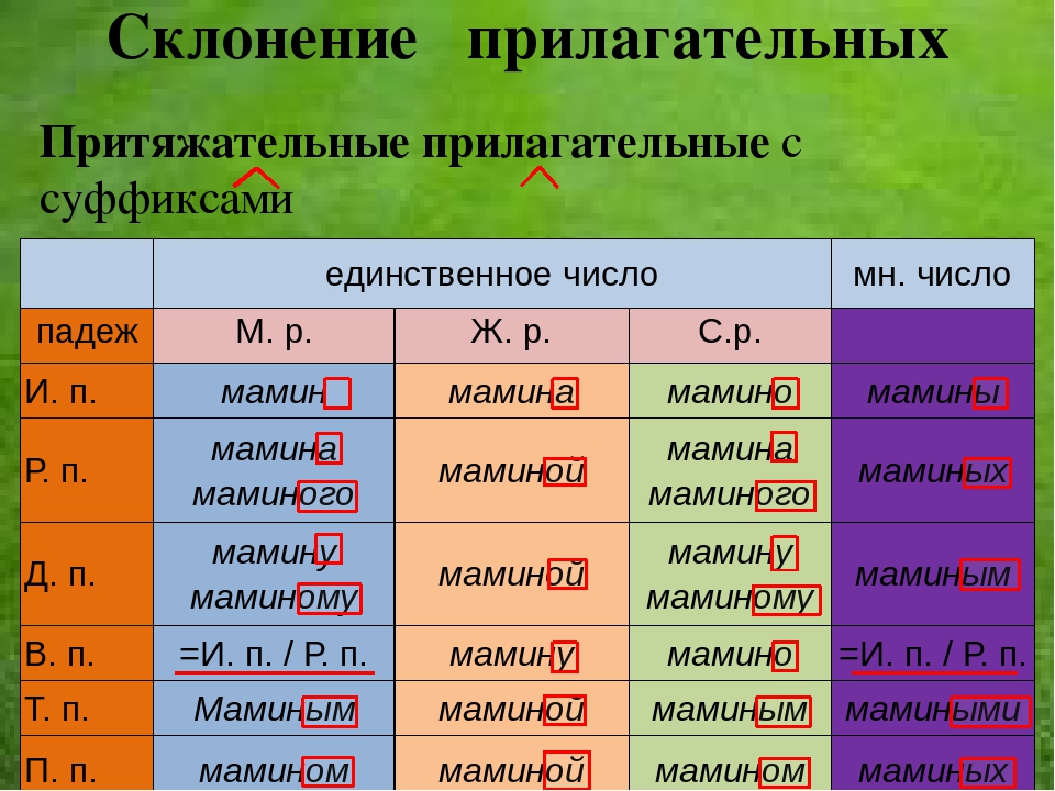 Правописание притяжательных прилагательных презентация 3 класс